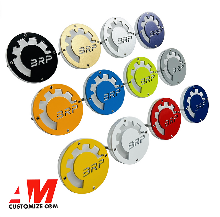 AMcustomize RGB Lights Can am Emblem